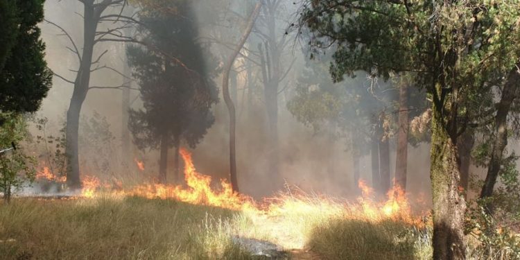 Uhapšen Rožajac zbog podmetanja požara