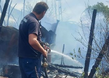 Cetinjski vatrogasci na Lovćenu brane borovu šumu od vatrene stihije