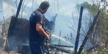 Cetinjski vatrogasci na Lovćenu brane borovu šumu od vatrene stihije