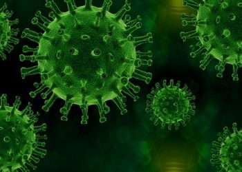 U Ulcinju najviše novooboljelih na 100k u posljednje dvije sedmice