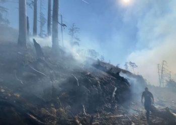 Požar u kanjonu Tare prerasta u dva odvojena