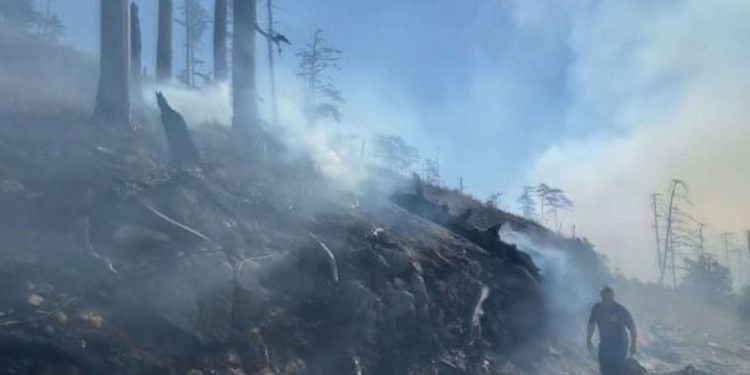 Požar u kanjonu Tare prerasta u dva odvojena