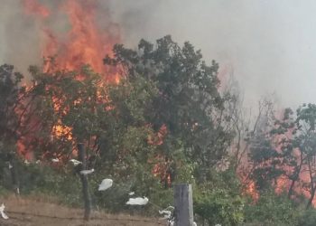 Tadić: Većina požara namjerno izazvano, ne uspijemo potpuno da ugasimo jedan, bukne drugi