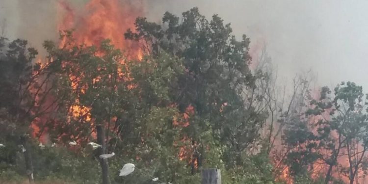 Tadić: Većina požara namjerno izazvano, ne uspijemo potpuno da ugasimo jedan, bukne drugi