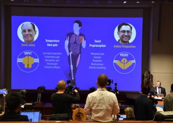 Nobelova nagrada za medicinu: Naučnici nagrađeni za otkriće receptora za temperaturu i dodir