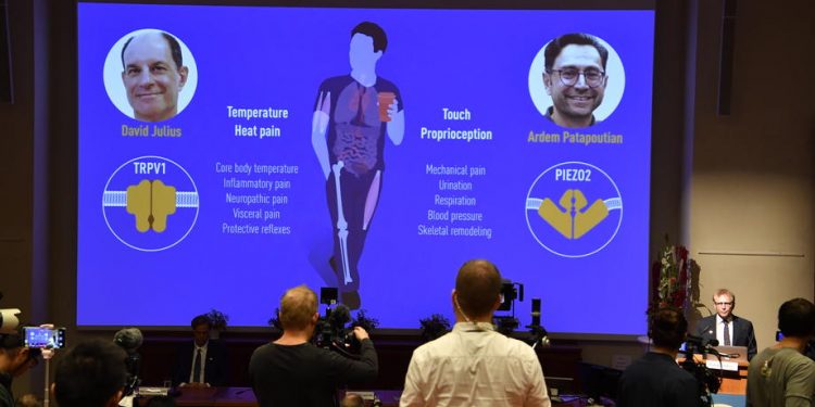 Nobelova nagrada za medicinu: Naučnici nagrađeni za otkriće receptora za temperaturu i dodir
