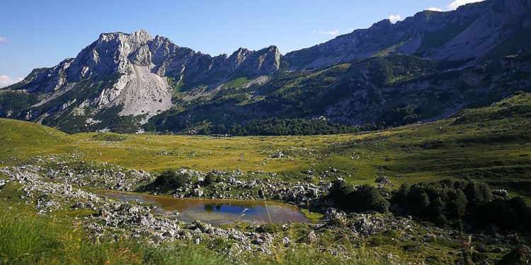Akcija spašavanja državljanke Rusije na Durmitoru