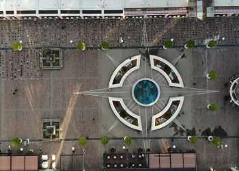 Zeković: Broj preminulih govori da li Borovinić Bojović treba da bude na funkciji ministarke