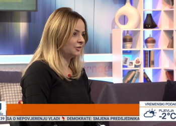 Uljarević: Izbori najbolji način da se prevaziđe politička kriza, prelazna vlada dobra ideja