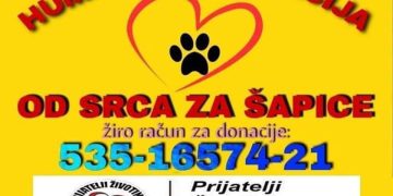 Apel za pomoć napuštenim životinjama