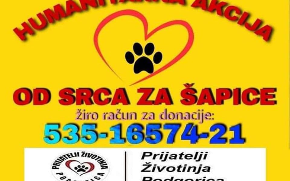 Apel za pomoć napuštenim životinjama